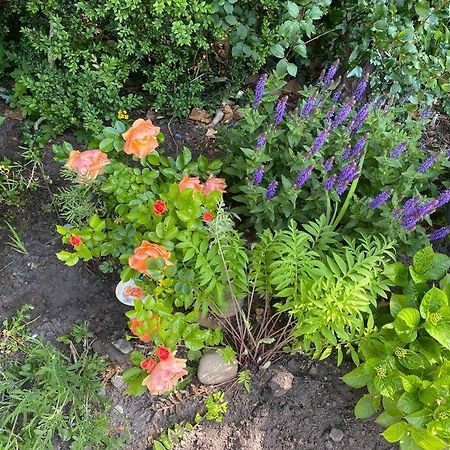 Urlaubsdomizil Norden/Norddeich, Mit Garten Екстериор снимка