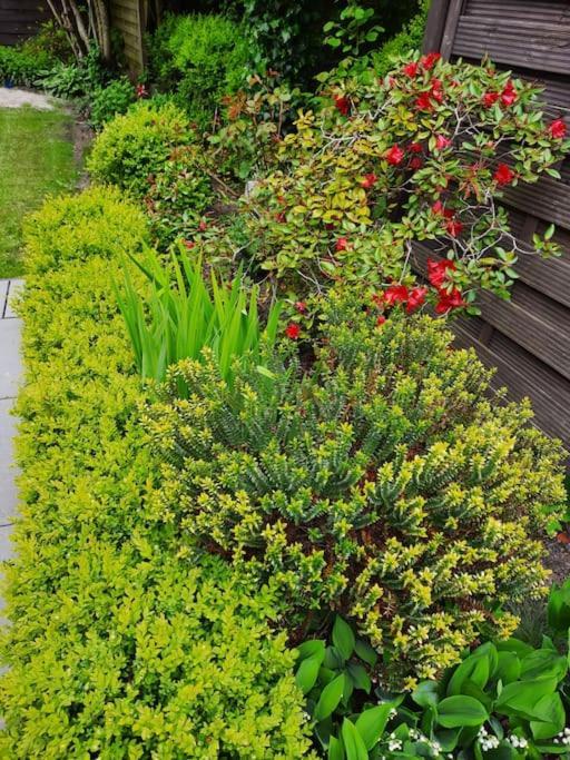 Urlaubsdomizil Norden/Norddeich, Mit Garten Екстериор снимка