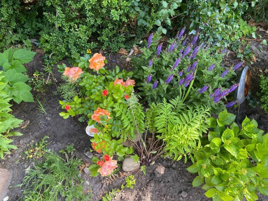 Urlaubsdomizil Norden/Norddeich, Mit Garten Екстериор снимка